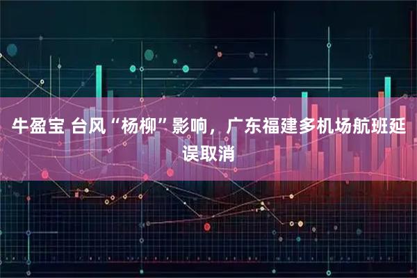 牛盈宝 台风“杨柳”影响，广东福建多机场航班延误取消