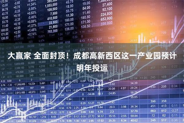 大赢家 全面封顶！成都高新西区这一产业园预计明年投运