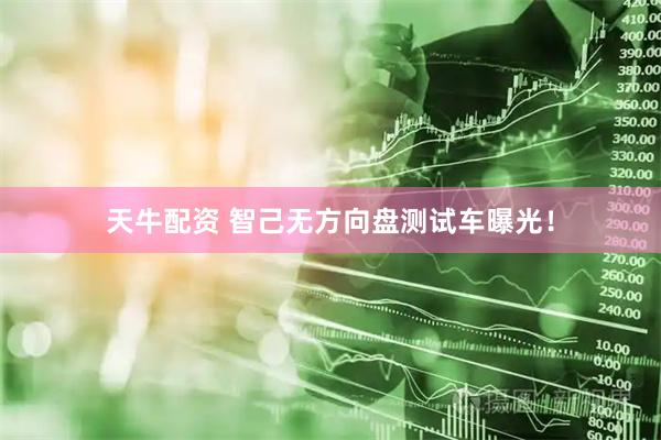 天牛配资 智己无方向盘测试车曝光！